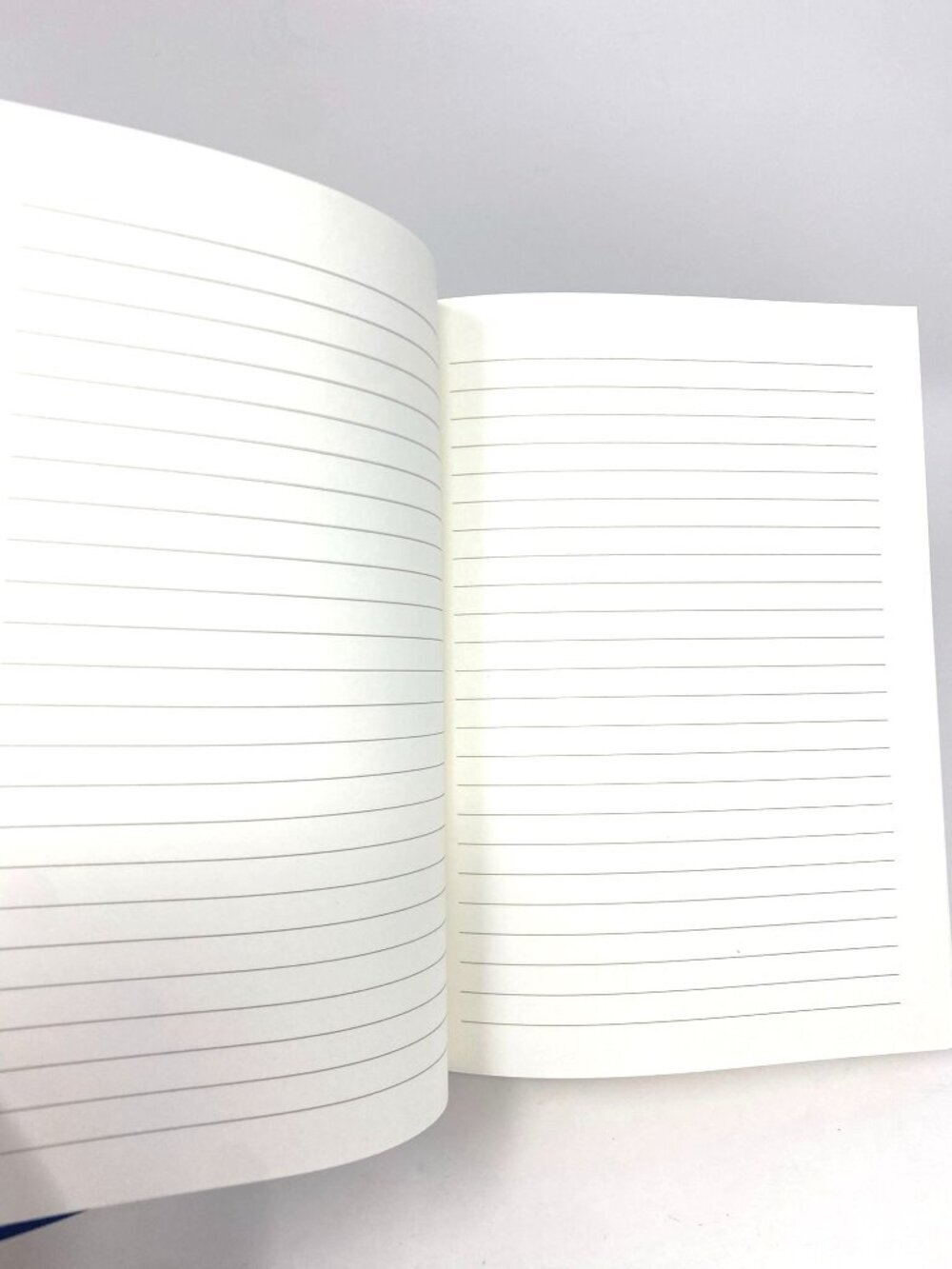 Rifle Paper Co. Ladies Night Book Club Classic Journal Hardcover Book Club - Picture 10 of 14